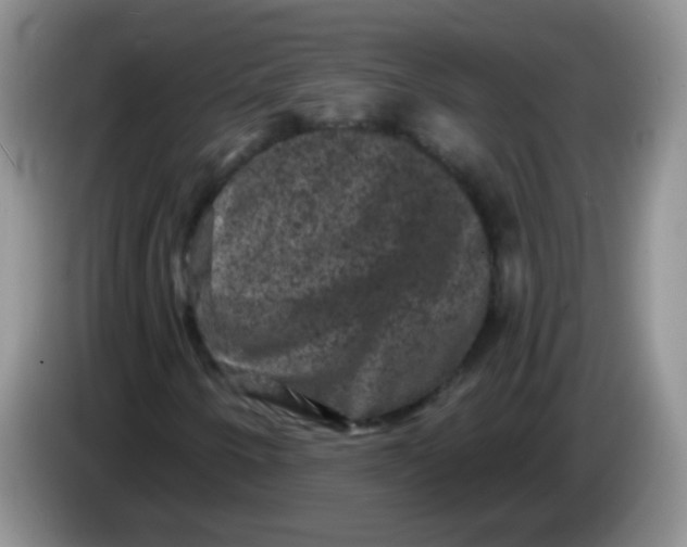 X0000084051250200703092045