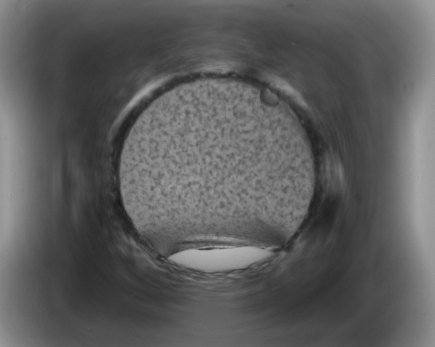 X0000084051256200703092045