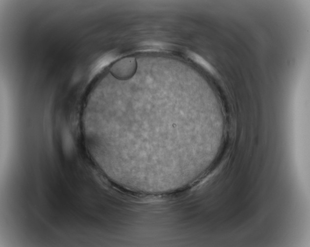 X0000084051259200703092045