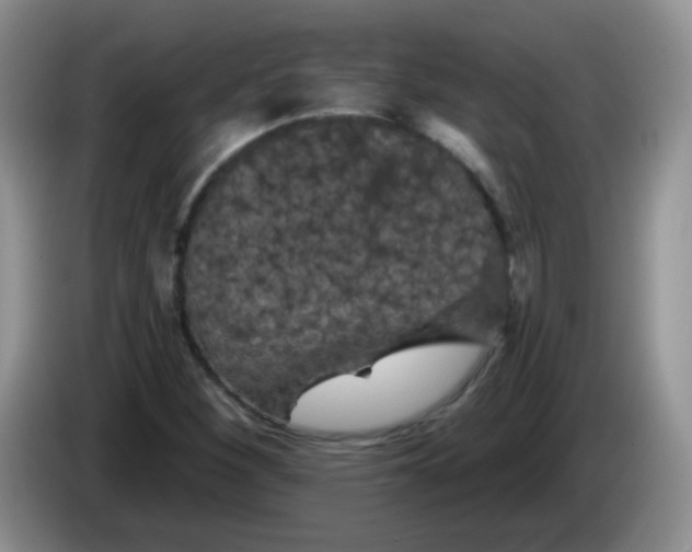 X0000084051260200703092045