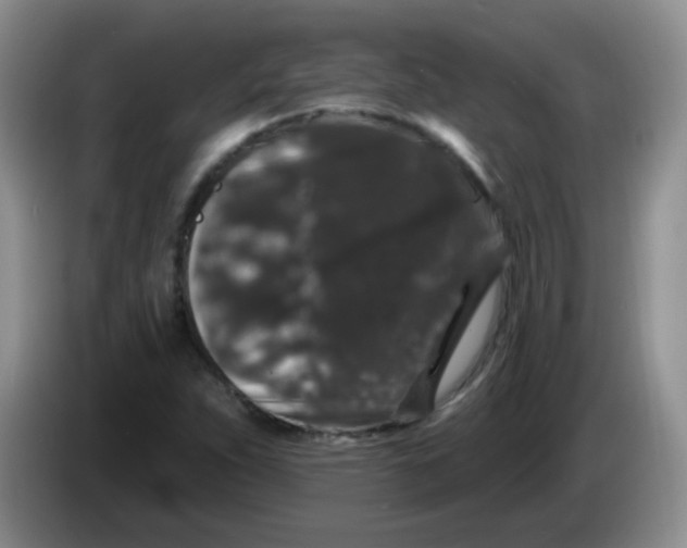 X0000084051263200703092045