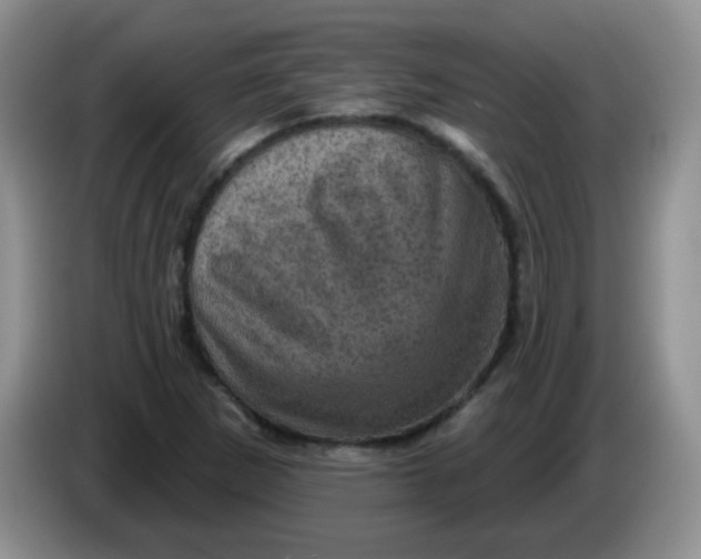 X0000084051265200703092045