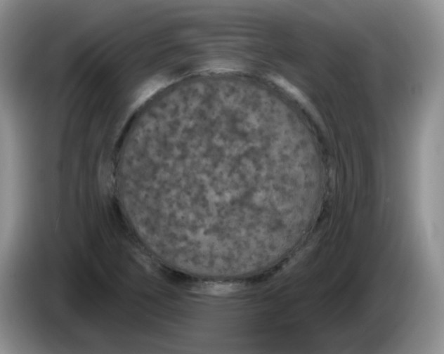 X0000084051266200703092045