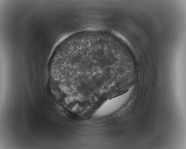 X0000084051267200703092045