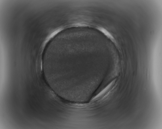 X0000084051269200703092045