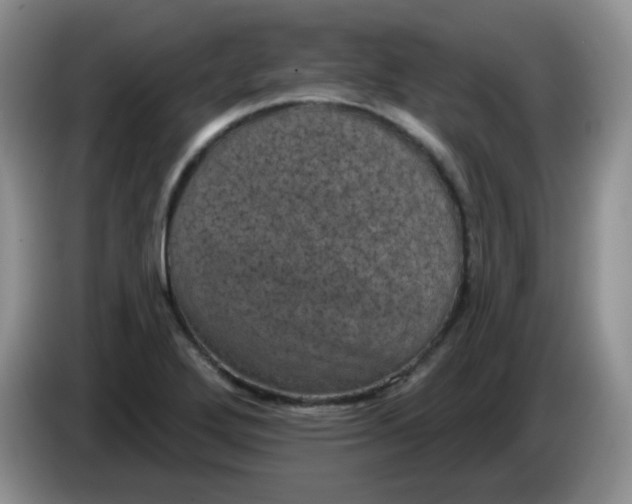 X0000084051272200703092045