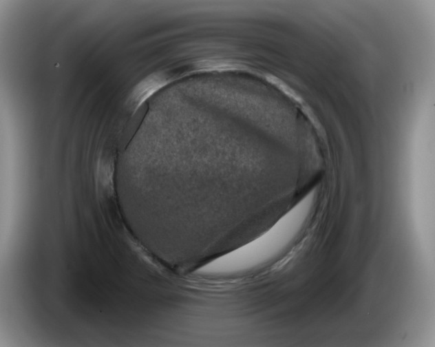 X0000084051273200703092045