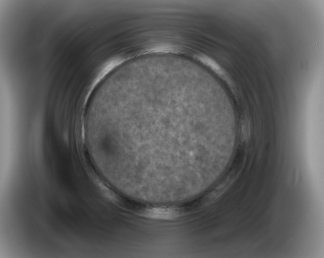 X0000084051274200703092045