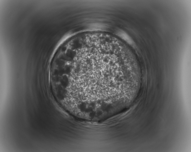 X0000084051275200703092045