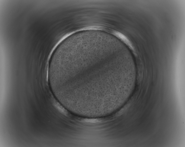 X0000084051276200703092045