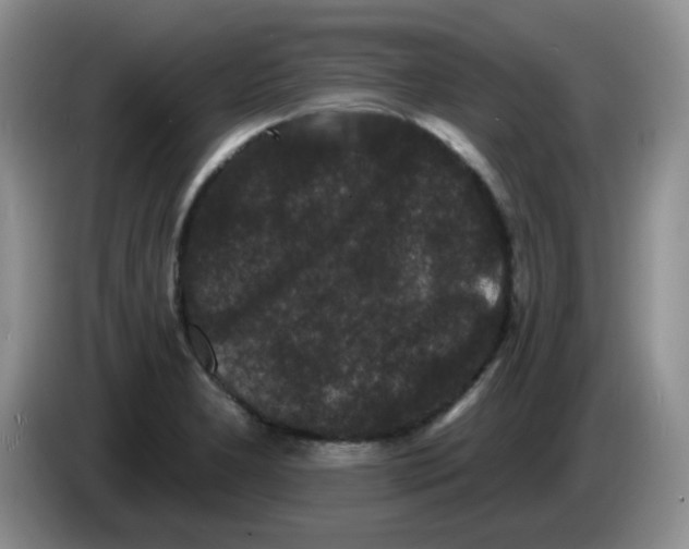 X0000084051277200703092045