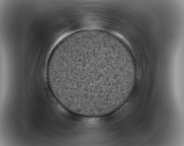 X0000084051278200703092045