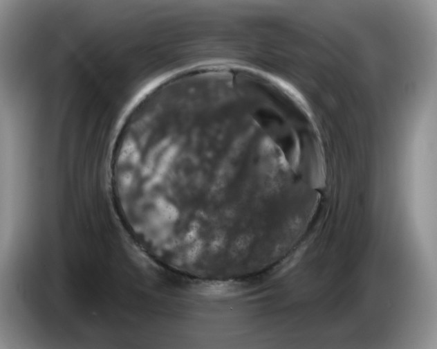 X0000084051279200703092045