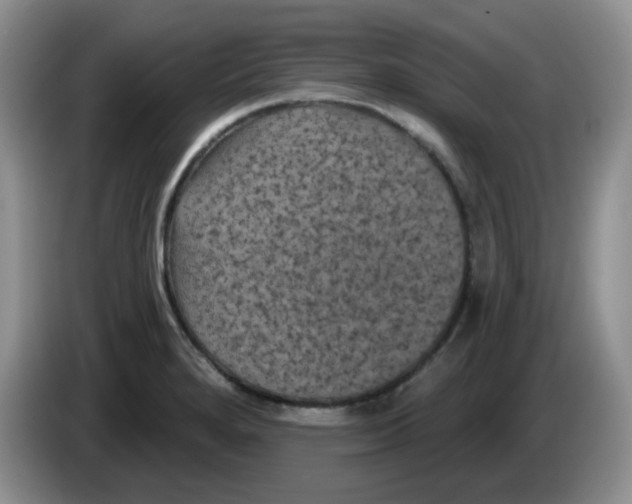 X0000084051280200703092045