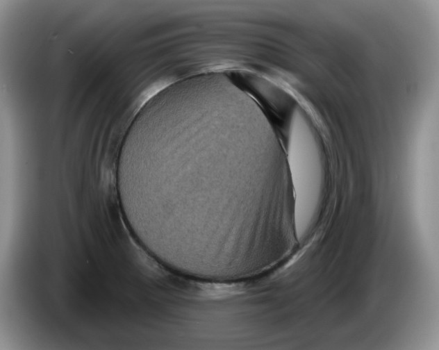 X0000084051281200703092045