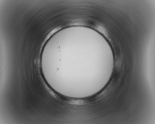 X0000084051282200703092045