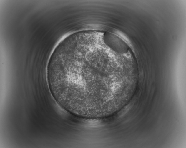 X0000084051283200703092045