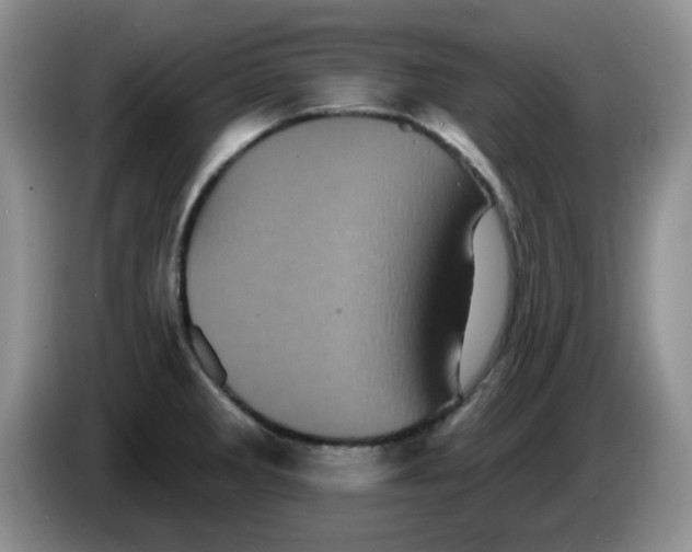 X0000084051285200703092045