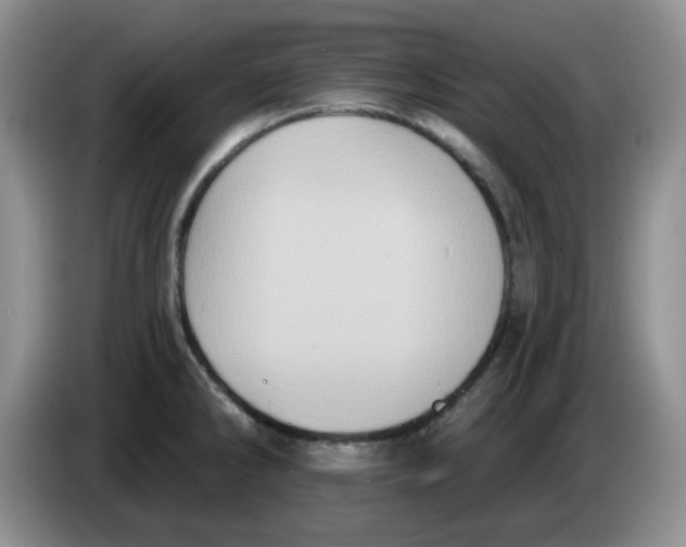 X0000084051286200703092045