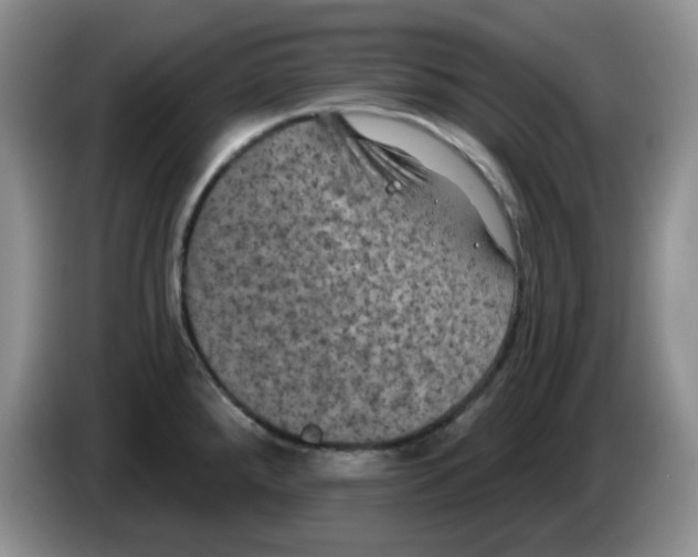 X0000084051288200703092045