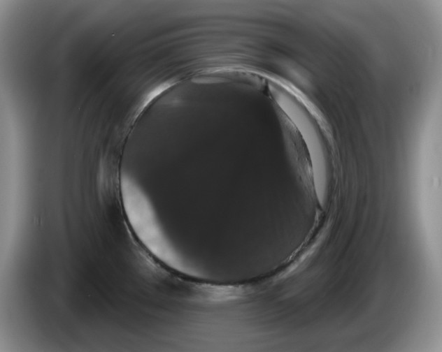 X0000084051289200703092045