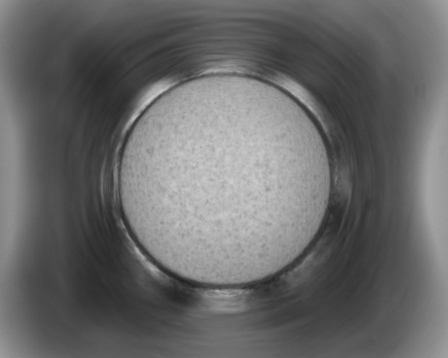 X0000084051290200703092044