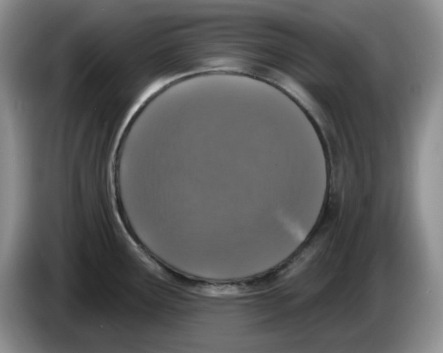 X0000084051291200703092044