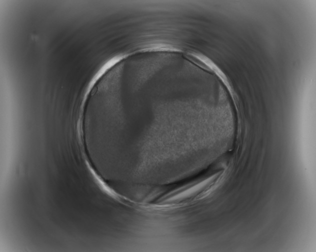 X0000084051293200703092044