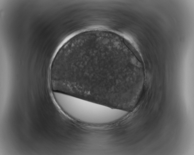 X0000084051295200703092044