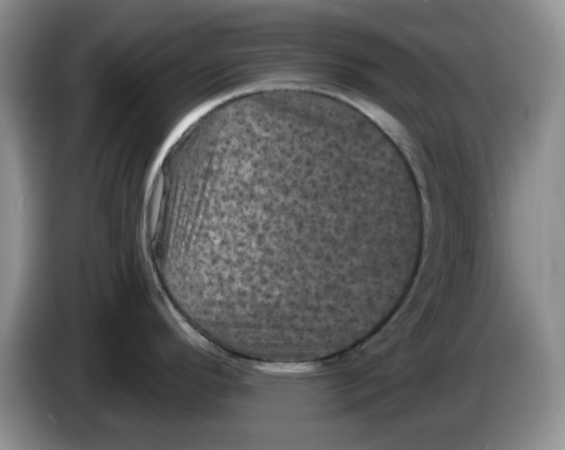 X0000084051296200703092044