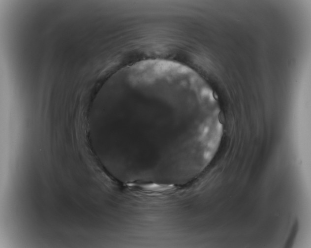 X0000084051297200703092044