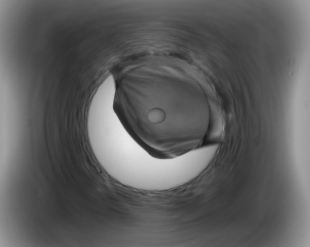 X0000084051298200703092044