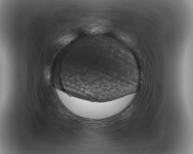 X0000084051300200703092044