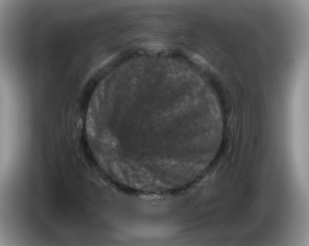 X0000084051302200703092044