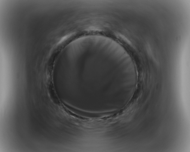 X0000084051303200703092044