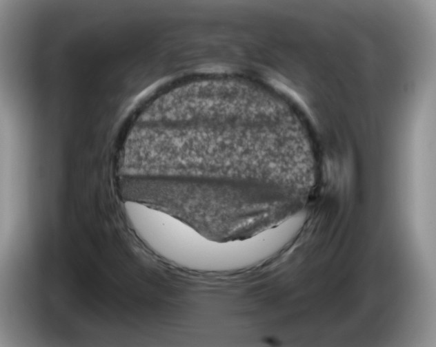 X0000084051304200703092044