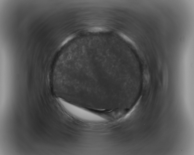 X0000084051305200703092044