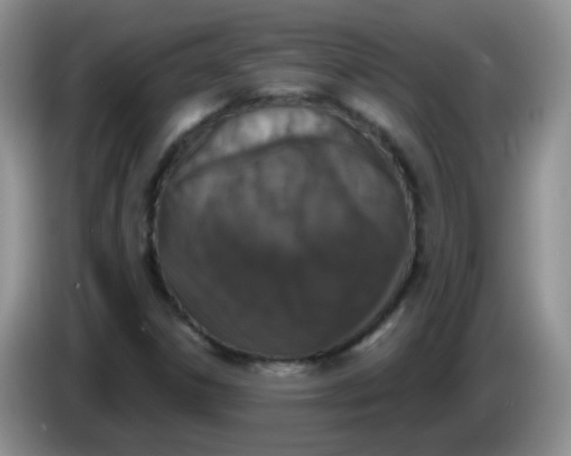 X0000084051306200703092044