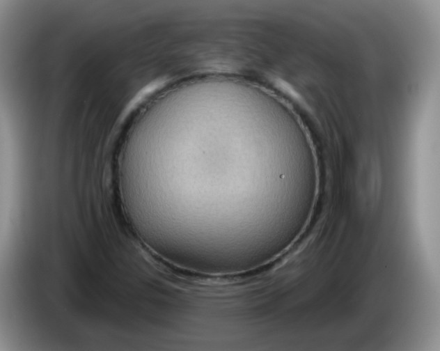 X0000084051307200703092044