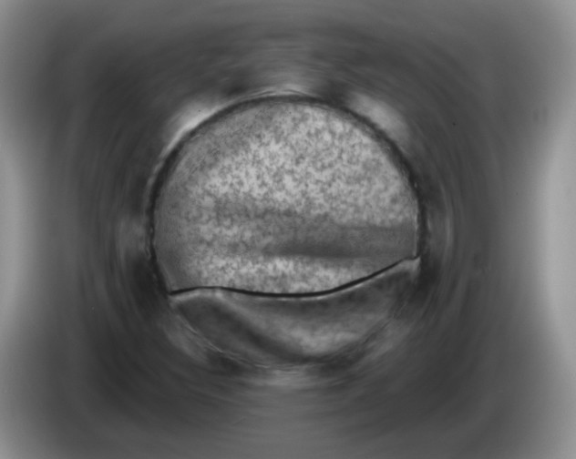 X0000084051308200703092044