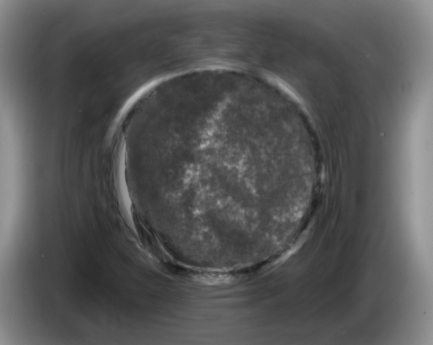 X0000084051310200703092044