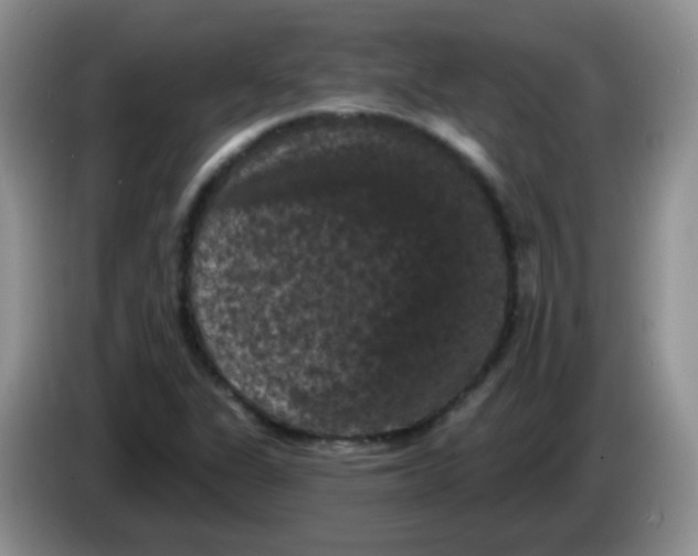 X0000084051311200703092044