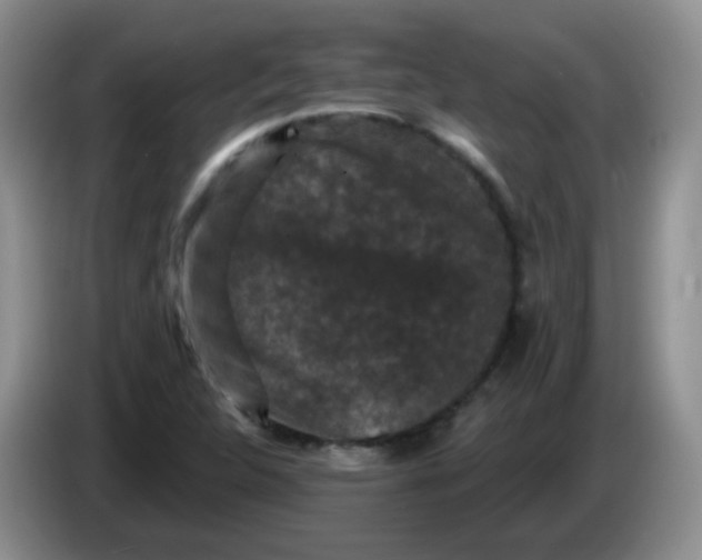 X0000084051312200703092044