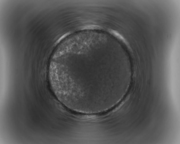 X0000084051313200703092044