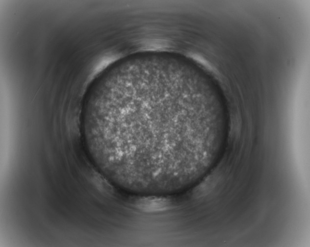 X0000084051314200703092044