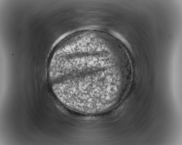 X0000084051316200703092044