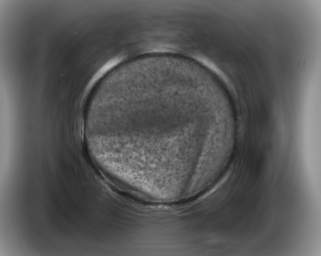 X0000084051317200703092044