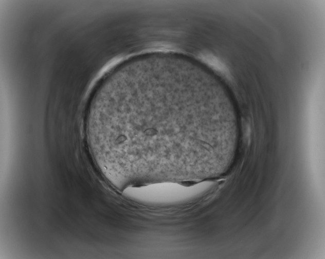 X0000084051318200703092044