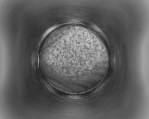 X0000084051320200703092044