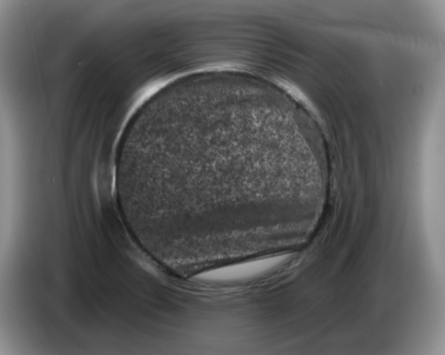 X0000084051324200703092044